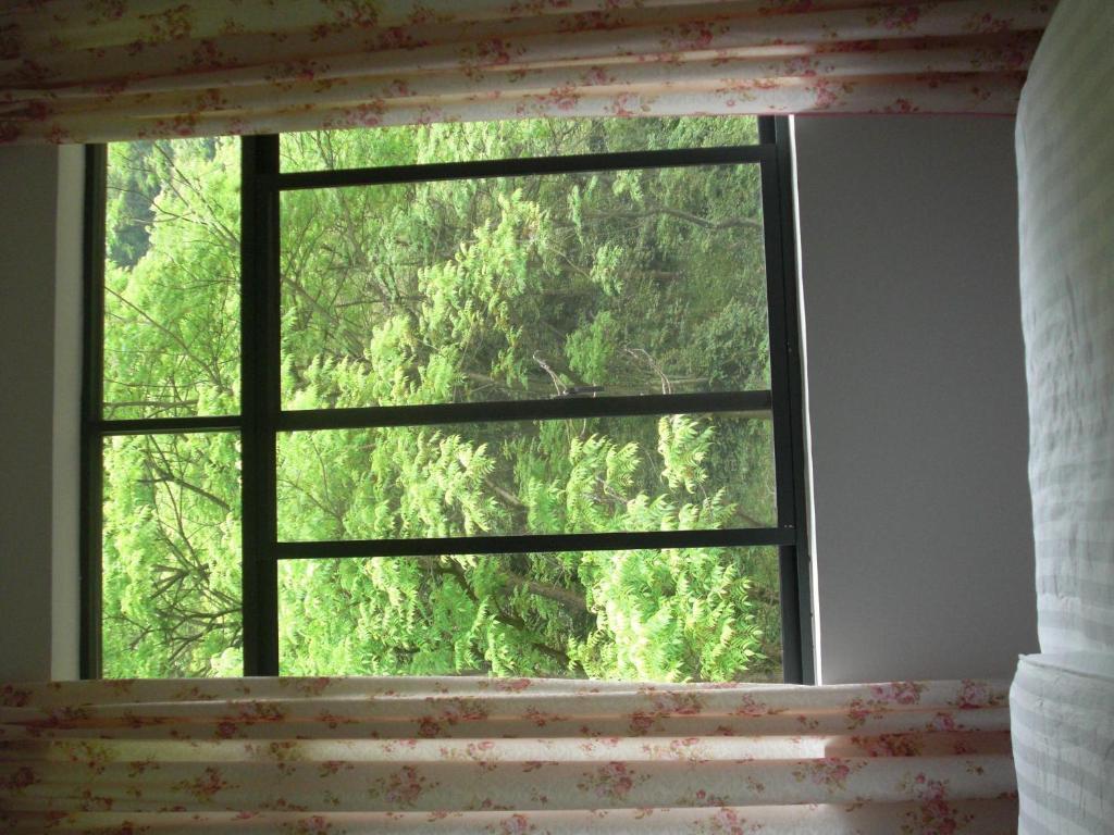 Huanggong Garden Hotel Yangshuo Rum bild